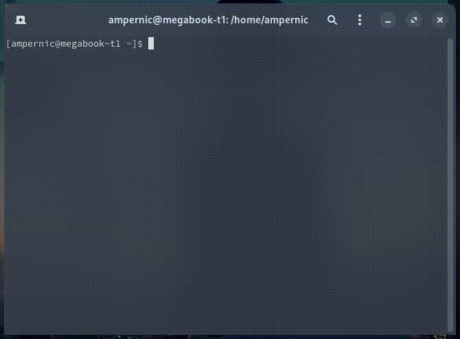 v4l2loopback_module